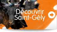 D�couvrir Saint-G�ly